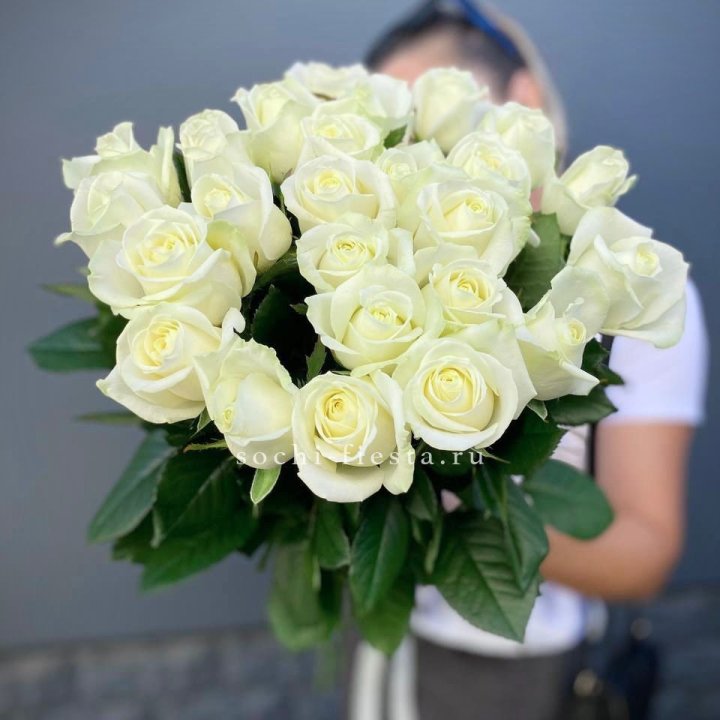Голландские розы белые 25 в Мурманске