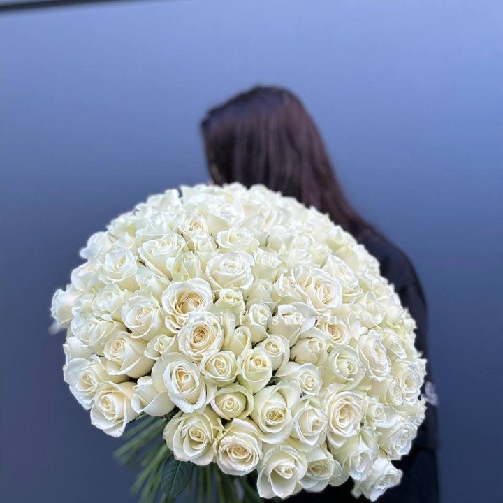 Охапка из 101 белой розы  в Мурманске
