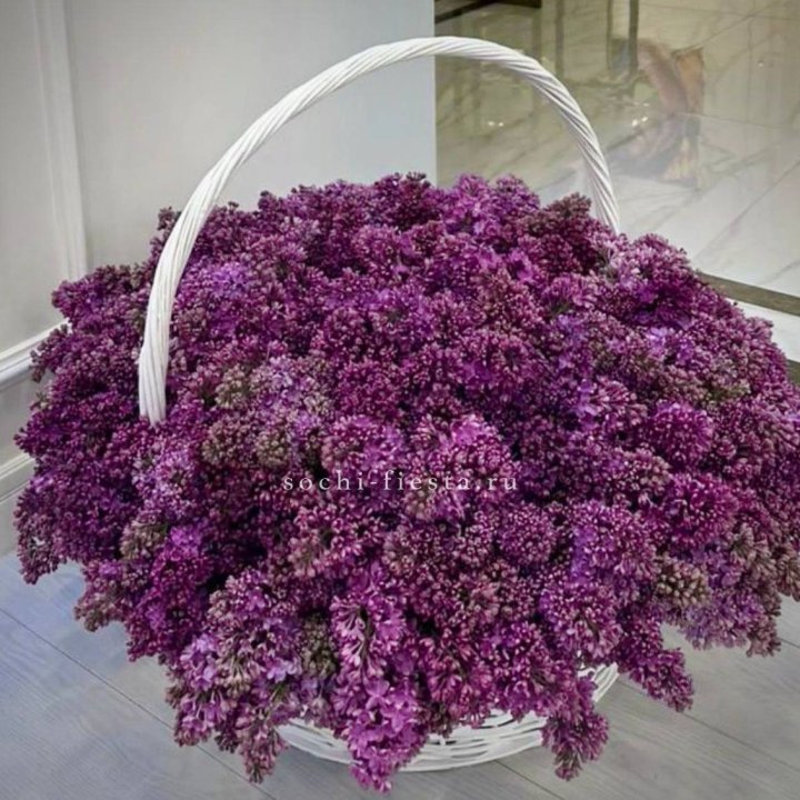 Корзина сирени в Мурманске