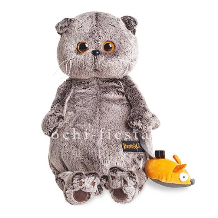 Кот Басик с мышкой в Мурманске