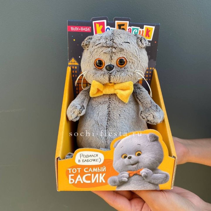 Кот Басик с бабочкой в Мурманске