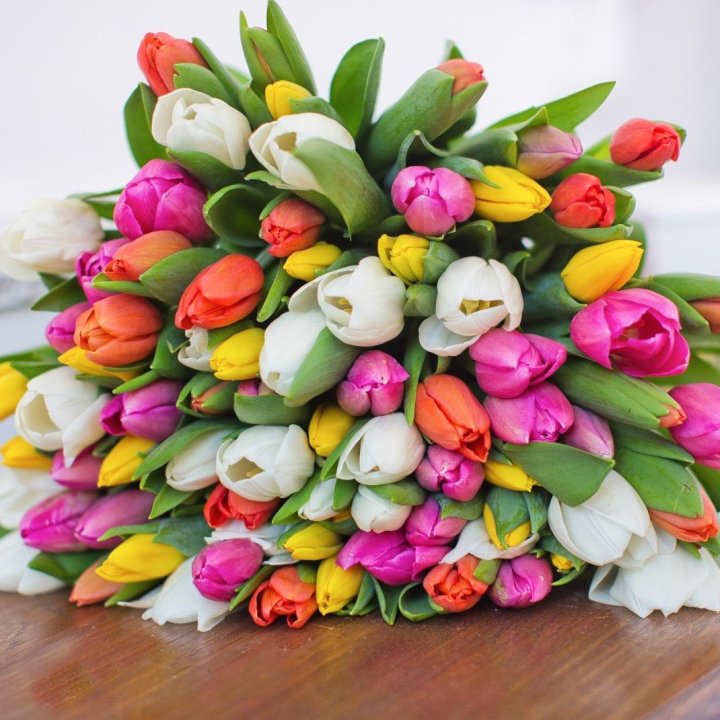 79 тюльпанов "Рандом" в Мурманске