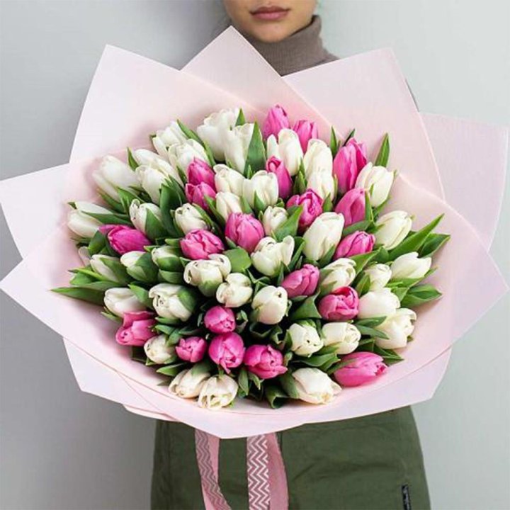 61 бело-розовый тюльпан в Мурманске