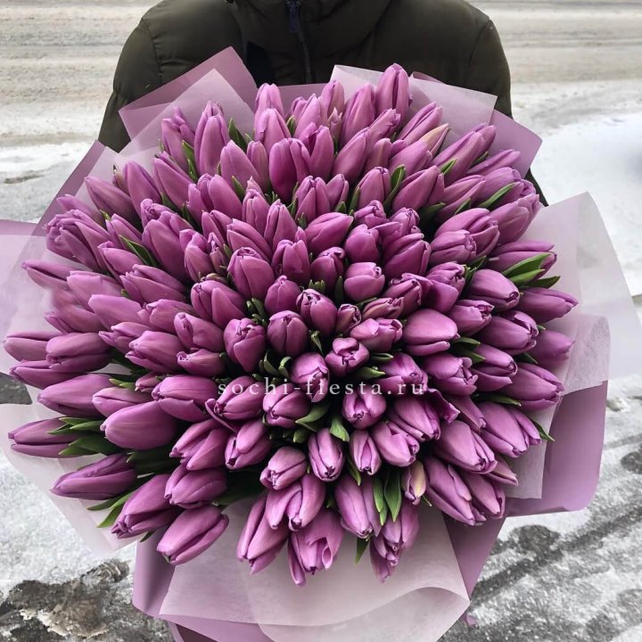 101 сиреневый тюльпан в Мурманске