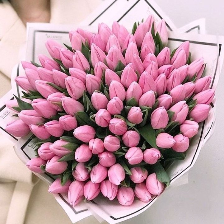 101 розовый тюльпан в белом в Мурманске