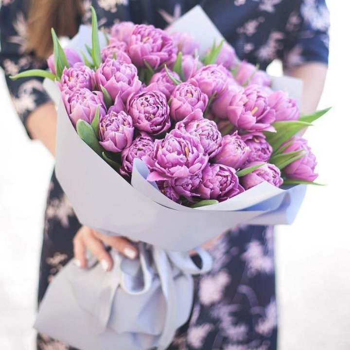 Тюльпаны "Пионс" в Мурманске