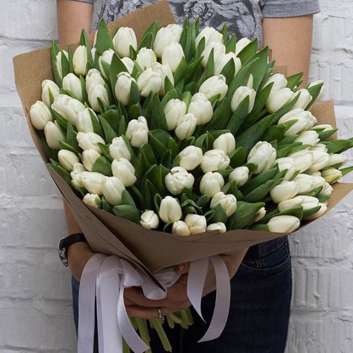 101 тюльпан сноу в Мурманске