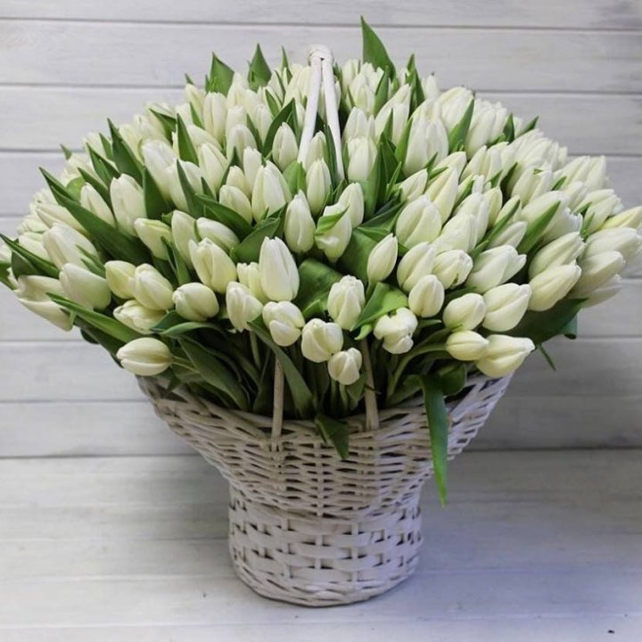 Корзина из 151 тюльпана в Мурманске