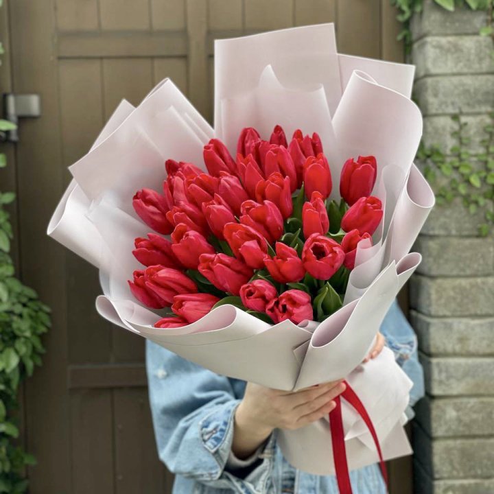 35 красных тюльпанов в Мурманске
